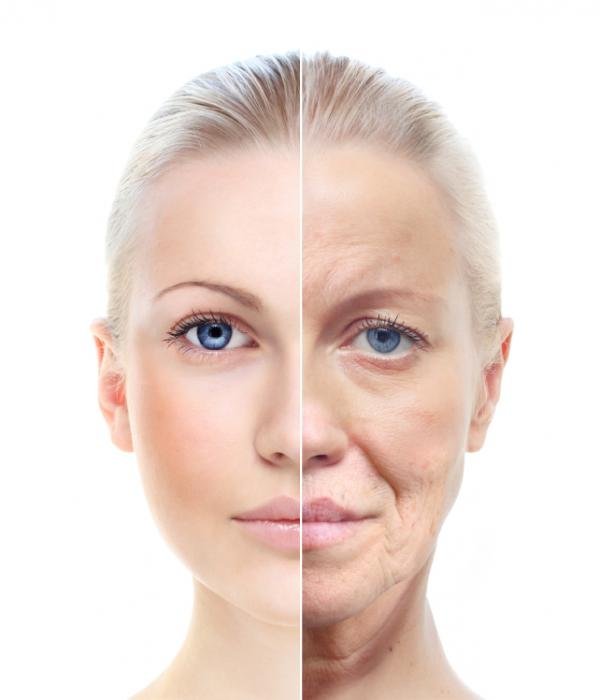 Tips for Slowing Down the Aging Process: Embrace Healthy Habits for a Youthful Life